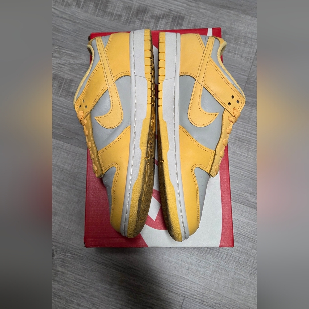 Nike Dunk Pulse - Picture 2 of 5